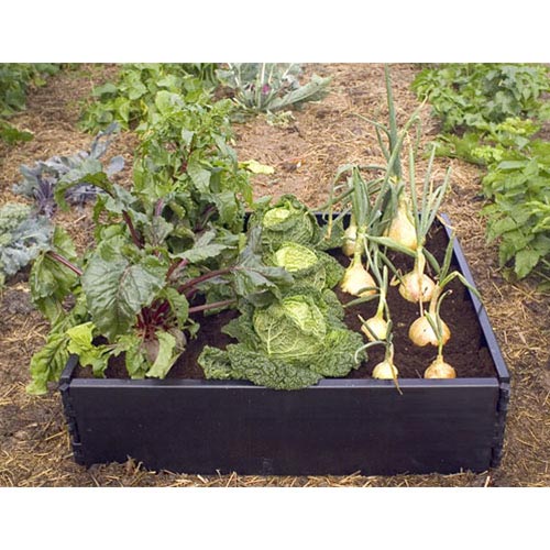 Grow bed 100x100x25 cm