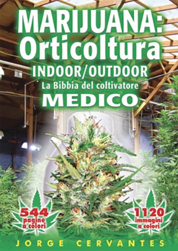 Marijuana orticoltura cannabis