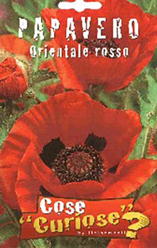 Papavero Orientale Rosso