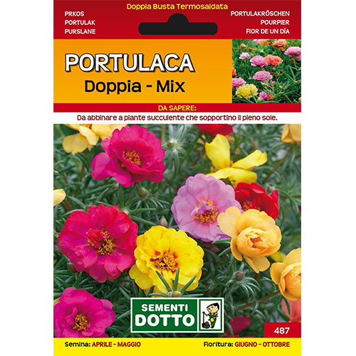 Portulaca Doppia in Mix