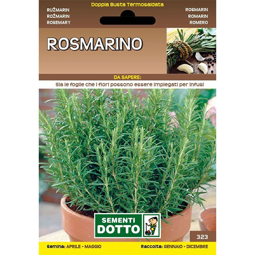 Rosmarino