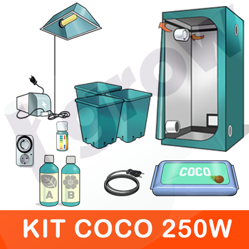 KIT INDOOR COCCO 250W 4 PIANTE