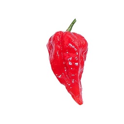 Peperoncino Bhut Jolokia