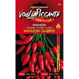 Peperoncino Diavolicchio Calabrese